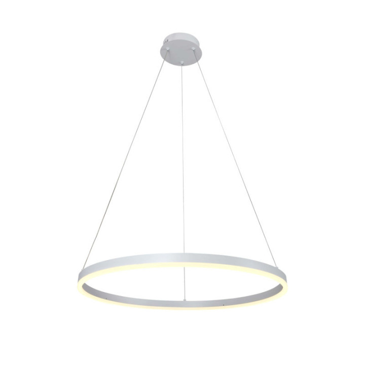 LAMPE SUSPENDUE LED 22W1760LM BLANC 3000K 175-265V