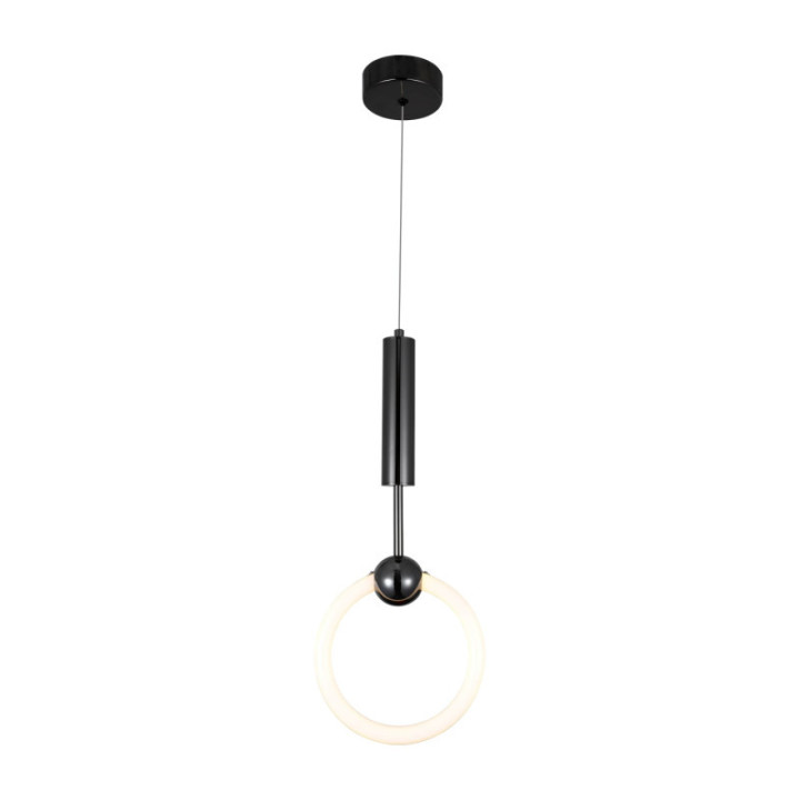 LAMPE SUSPENDUE LED 10W800LM NOIR 3000K 175-265V