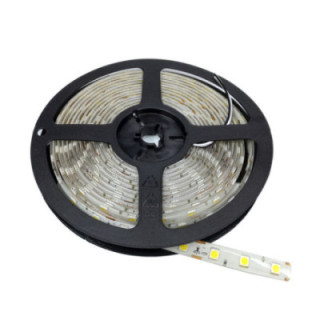Bande LED 5050 60 SMD/m 6000K IMPERMÉABLE