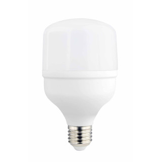Ampoule LED E27 T80 24 W 2700 lm 220-240 V 6000 K