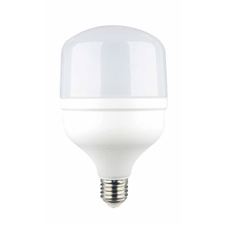 Ampoule LED E27 T100 30 W 3200 lm 220-240 V 6000 K