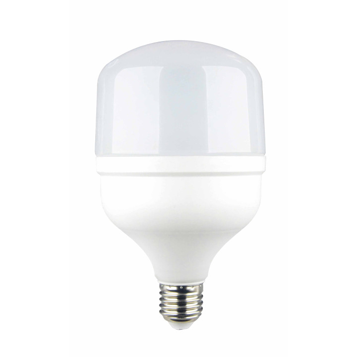 Ampoule LED E27 T100 30 W 3200 lm 220-240 V 6000 K