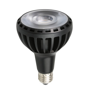 Ampoule LED PAR30 25 W 220 V E27 6000 K RA80   NOIRE