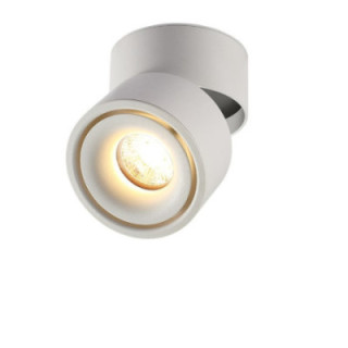 LED MONTAGE EN SURFACE spot encastré 12W 80LM/W BLANC 4000K BRIDGELUX-CHIP RÉGLABLE