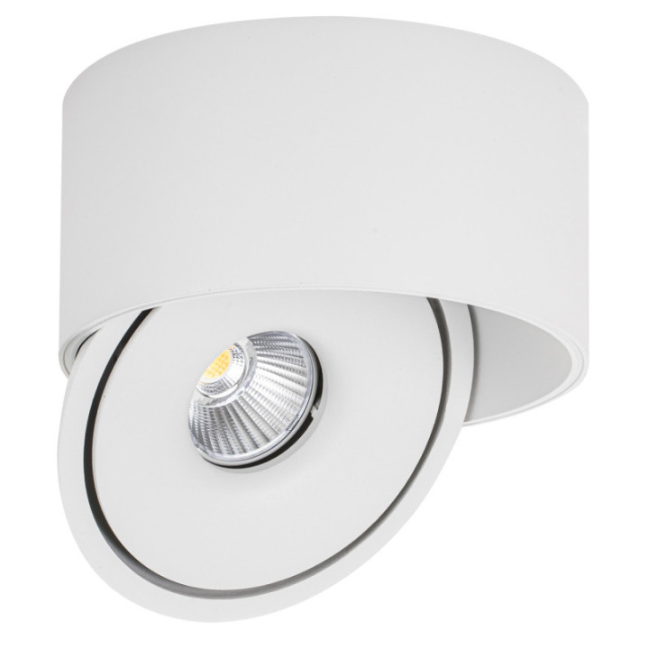 LED COB 30W spot encastré ROND ROTATIF BLANC AC85-265V 100LM/W CCT - BRIDGELUX