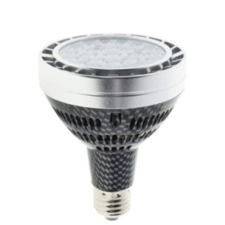 LED PAR30 30 W/220 V E27 6000 K