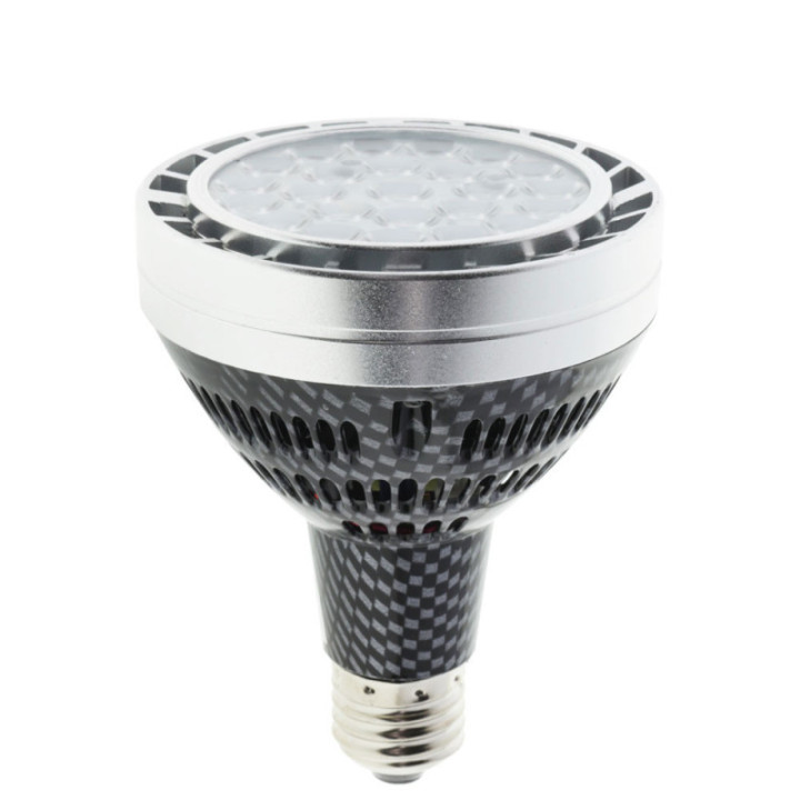 LED PAR30 30 W/220 V E27 6000 K