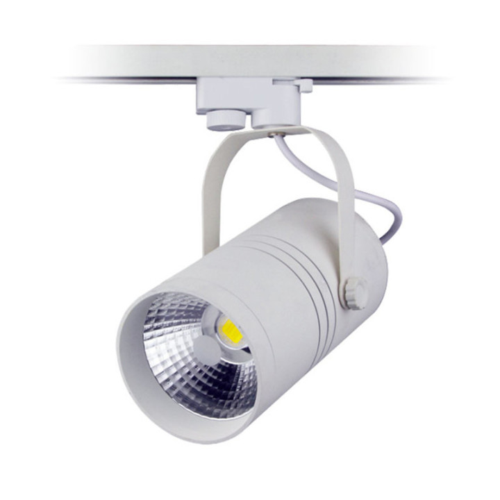 Projecteur LED intérieur 25 W 110-240 V COB corps blanc, 2700 K