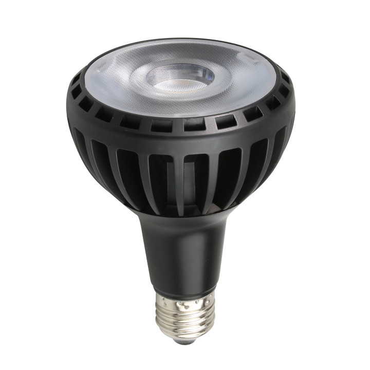 Ampoule LED PAR30 25 W 220 V E27 6000 K RA80   NOIRE