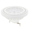 Ampoules AR111