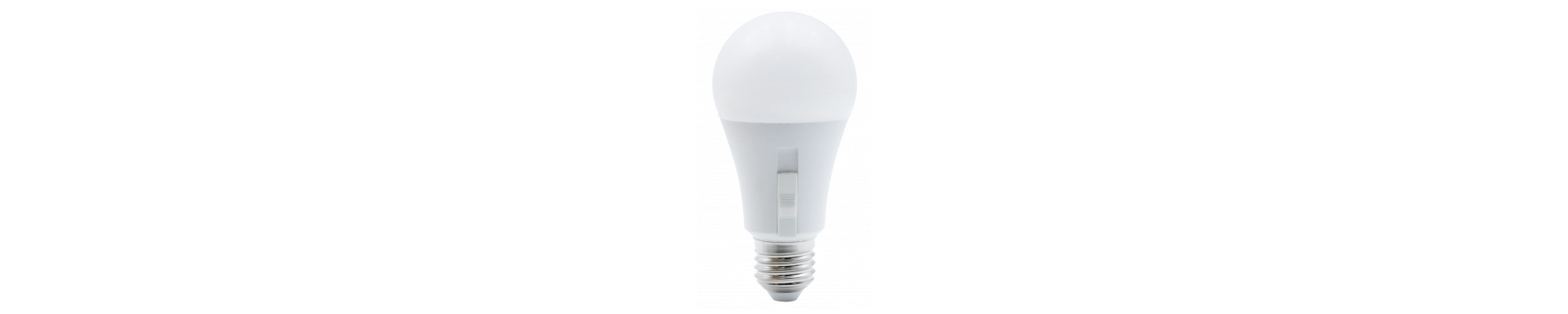 Ampoules E27 | Optonica LED